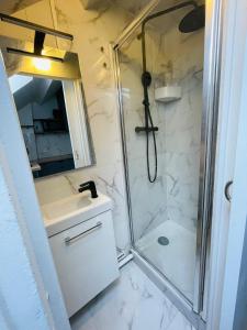 a bathroom with a shower and a sink at Studio Parc des Princes - Porte dauphine - 2 Pers in Boulogne-Billancourt