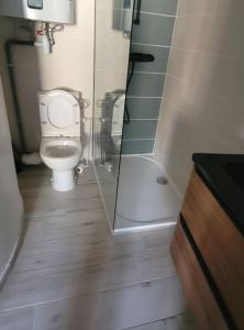 een badkamer met een toilet en een glazen douche bij centre de Thuir appart cosy in Thuir