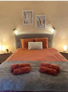 een bed met twee bruine kussens erop bij centre de Thuir appart cosy in Thuir