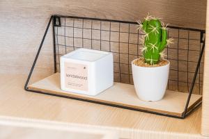 a plant and a box on a shelf at Casa Calida - 500m to Kos Town in Kaká Pinári +63 photos