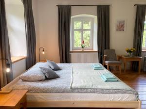 施柯拉爾斯卡波倫巴的住宿－DomPodKasztanem，一间卧室设有一张大床和一个窗户。