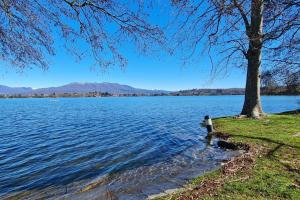 widok na jezioro z drzewem i wodą w obiekcie Casa Maddalena Private Beach on request - Happy Rentals w mieście Cadrezzate