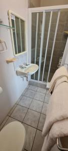 a bathroom with a sink and a toilet at Greystone Guesthouse in Jeffreys Bay
