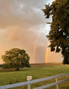 Ein Regenbogen am Himmel über einem Feld mit einem Zaun in der Unterkunft Pension Müritzblick in Gotthun