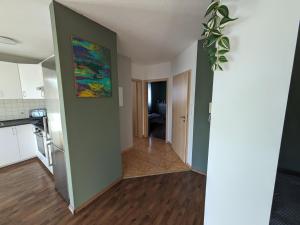 a kitchen with green walls and a painting on the wall at FeWo Lorenz in Buchen