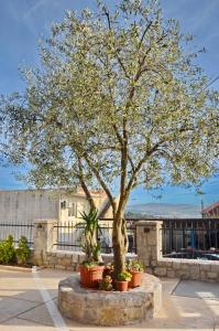 drzewo przed budynkiem pełnym roślin w obiekcie Stars Apartments w mieście Tivat