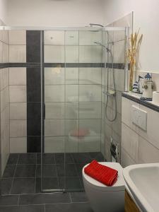 a bathroom with a shower and a toilet and a sink at Top-moderne Ferienwohnung auf früherem wunderschönen Bauernhof im Elbe-Elster-Kreis in Süd-Brandenburg in Schönewalde