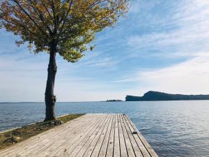 Φυσικό τοπίο κοντά σε αυτό το διαμέρισμα