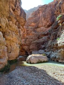 a river in a canyon with a rock in the water at Riad Rihana Dades in Boumalne