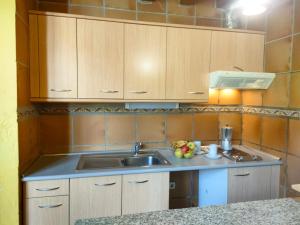 uma cozinha com um lavatório e uma bancada em Alojamientos El Castillo em El Berrueco