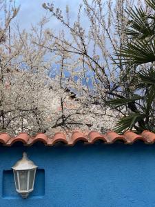 Blue Orange Lake Hostel في أوخريد: جدار أزرق مع ضوء الشارع والأشجار