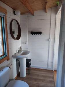 ein Badezimmer mit einem Waschbecken, einem WC und einem Spiegel in der Unterkunft Petirrojo in Vejer de la Frontera