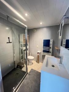 Un baño con ducha, lavabo e inodoro. en Chez Jean-Jean, en Chantonnay