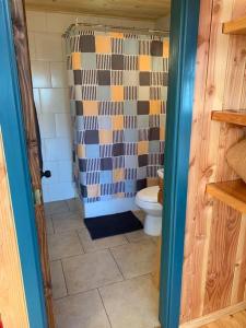 a bathroom with a shower and a toilet at Cabaña con hermosa vista in Ancud