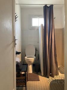 a bathroom with a toilet and a shower curtain at Maisonnette de plain-pied plein cœur du perche in Igé