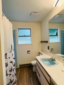 a bathroom with a sink and a toilet and a mirror at Beautiful home with one acre land for leisure time in Vancouver Island in Nanaimo +16 photos