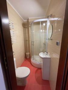 a bathroom with a shower and a toilet and a sink at Willa Kinga in Władysławowo