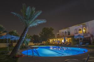 a swimming pool at night with a palm tree and a building at Argo Hotel in Faliraki