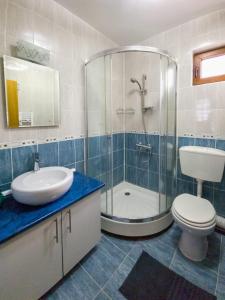 een badkamer met een douche, een toilet en een wastafel bij Casa Bear Azuga in Azuga
