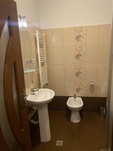 a bathroom with a sink and a toilet at La Strada in Onești