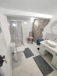 a bathroom with a shower and a toilet and a sink at Vivenda Montanha - Relax in Nature in Alcaria
