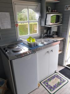 eine kleine Küche mit einer Spüle und einer Mikrowelle in der Unterkunft La roulotte du bois du fil in Vassonville