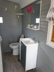 ein Badezimmer mit einem WC, einem Waschbecken und einem Spiegel in der Unterkunft La roulotte du bois du fil in Vassonville