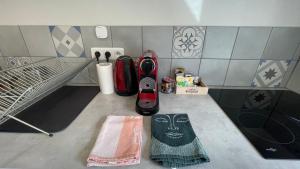 un bancone del bagno con lavandino e alegatelegatelegatelegatelegatelegatlegate di La maisonnette de Julien - 3 étoiles a Ceyrat