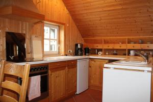 uma cozinha com armários de madeira, um lavatório e um fogão em Loft 18 em Schlitz
