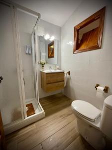 een badkamer met een douche, een toilet en een wastafel bij Alojamiento La Casa del Pintor in Almonaster la Real