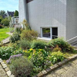 a garden of flowers and plants in front of a building at Zwei-Zimmer-Appartement Essen in Essen