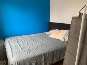 ストックホルムにあるBig apartment in Stockholm cityの青い壁のベッドルーム1室、ベッド1台が備わります。