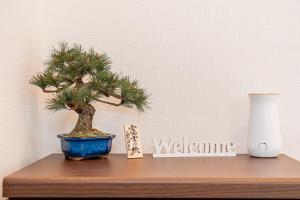 a small pine tree in a blue pot on a table at Himawari in Tokyo