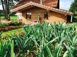 a wooden house with a garden in front of it at Gîte Les Cigognes in Orchamps-Vennes