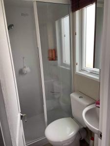 ein Bad mit einer Dusche, einem WC und einem Waschbecken in der Unterkunft Luxury Lodge 1477 West Sands in Selsey