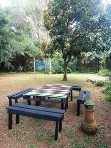 Zahrada ubytování Mad Vervet Nairobi Backpackers Hostel