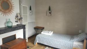 uma sala de estar com uma cama e uma lareira em L'étape du Canal - Pèlerins, Randonneurs, Vacanciers em Condom