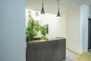 バンドンにあるFortuna Hotel & Residence by My Hospitalityの植物とペンダントライトのあるカウンターのある部屋