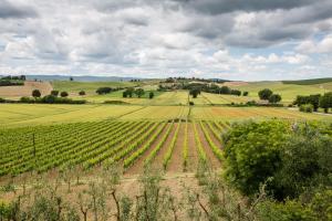 Φωτογραφία από το άλμπουμ του Hotel Ristorante Borgo Antico σε Monteroni dʼArbia