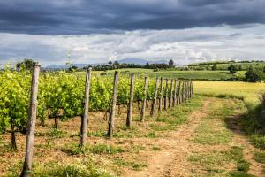 Φωτογραφία από το άλμπουμ του Hotel Ristorante Borgo Antico σε Monteroni dʼArbia