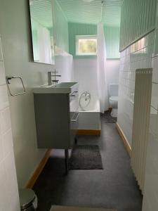 ein Bad mit einem Waschbecken und einem WC in der Unterkunft 31 Chemin de la Croix aux Outils in Paimpol