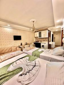 a hotel room with two beds and a tv at Sultanahmet life suites apartment in Istanbul