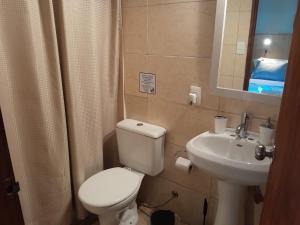 a small bathroom with a toilet and a sink at Ríos que nos unen in Colonia del Sacramento