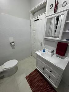 ナクルにあるPinnacle Alpine Houseの白いバスルーム(トイレ、シンク付)