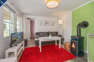 a living room with a red rug and a fireplace at Ferienresort Möwenort Lütow Bungalow 8 in Lütow