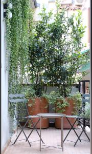 un banco con dos macetas en un patio en Locanda La Concia, en Reggio Emilia