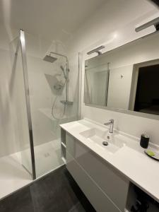 Un baño blanco con lavabo y ducha. en LA BERGERIE, en Domessargues 148 fotos más