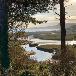 a view of a river from a hill with trees at Jurassic Hideaway in Budleigh Salterton