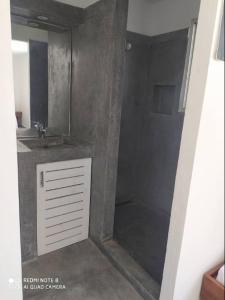 een badkamer met een douche, een wastafel en een spiegel bij Villa vue sur Océan in Las Terrenas