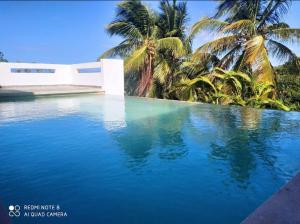 uma piscina com palmeiras em frente a uma casa em Villa vue sur Océan em Las Terrenas